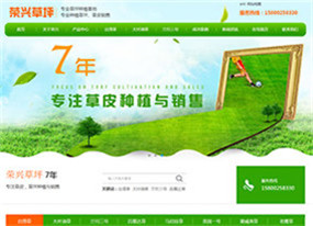 廣州榮興草場(chǎng)-專業(yè)草坪種植基地